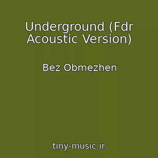 کاور آهنگ Underground (Fdr Acoustic Version) از Bez Obmezhen