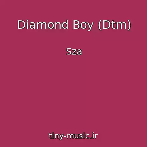 کاور آهنگ Diamond Boy (Dtm) از Sza