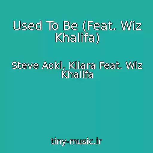 کاور آهنگ Used To Be (Feat. Wiz Khalifa) از Steve Aoki, Kiiara Feat. Wiz Khalifa