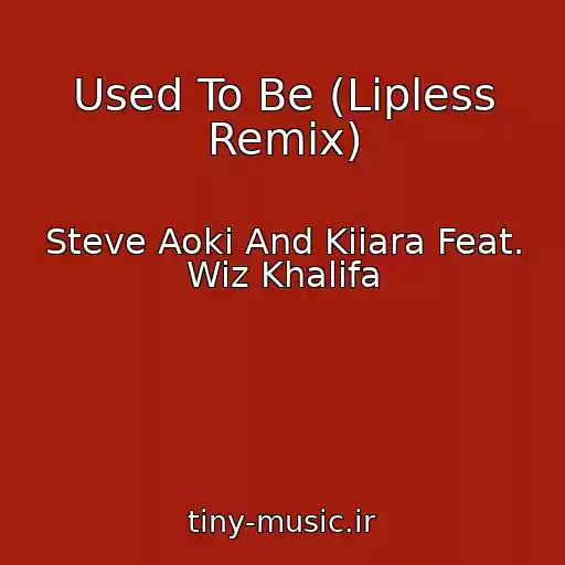 کاور آهنگ Used To Be (Lipless Remix) از Steve Aoki And Kiiara Feat. Wiz Khalifa