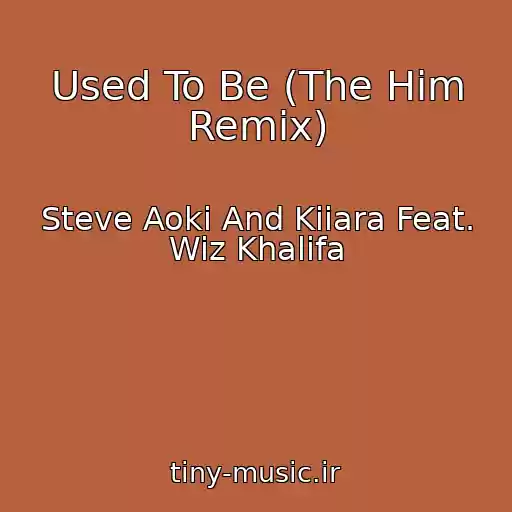 کاور آهنگ Used To Be (The Him Remix) از Steve Aoki And Kiiara Feat. Wiz Khalifa
