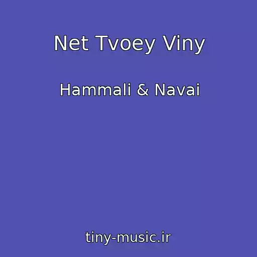 کاور آهنگ Net Tvoey Viny از Hammali & Navai