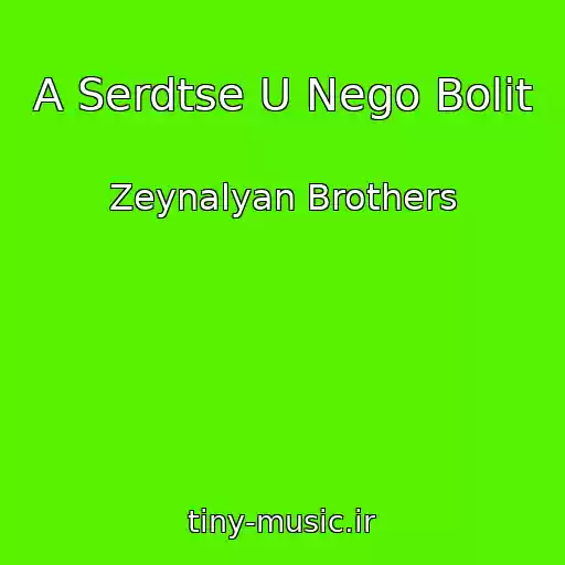کاور آهنگ A Serdtse U Nego Bolit از Zeynalyan Brothers