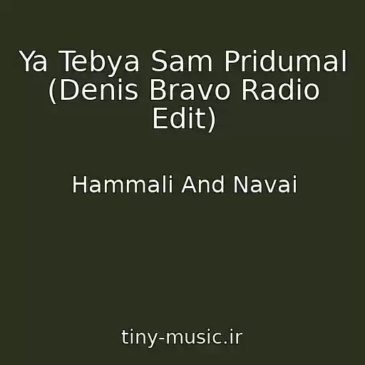 کاور آهنگ Ya Tebya Sam Pridumal (Denis Bravo Radio Edit) از Hammali And Navai