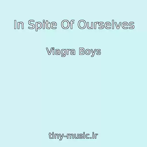 کاور آهنگ In Spite Of Ourselves از Viagra Boys