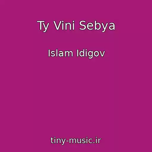 کاور آهنگ Ty Vini Sebya از Islam Idigov
