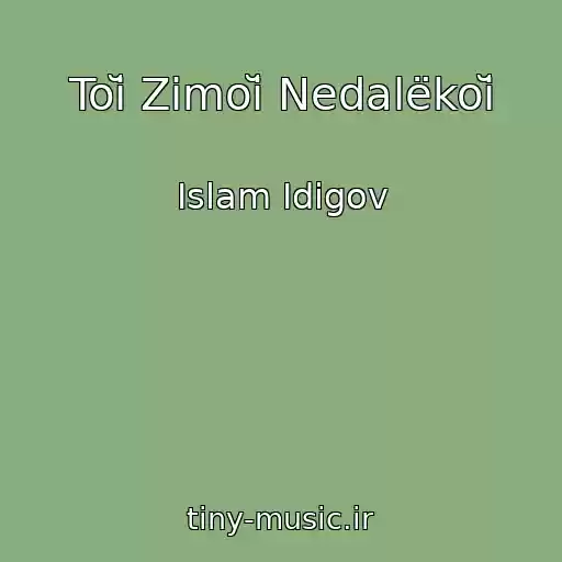 کاور آهنگ Toĭ Zimoĭ Nedalëkoĭ از Islam Idigov