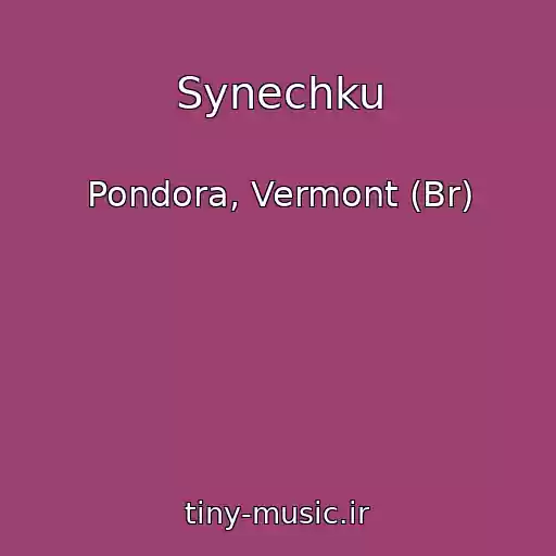 کاور آهنگ Synechku از Pondora, Vermont (Br)