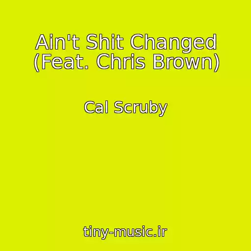 کاور آهنگ Ain't Shit Changed (Feat. Chris Brown) از Cal Scruby