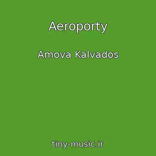 کاور آهنگ Aeroporty از Amova Kalvados