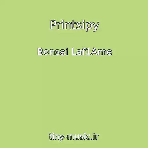 کاور آهنگ Printsipy از Bonsai Laf1Ame