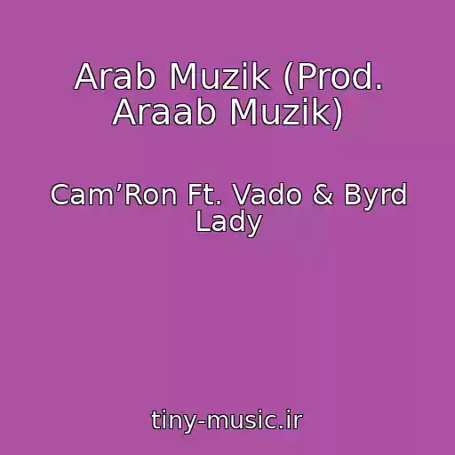 کاور آهنگ Arab Muzik (Prod. Araab Muzik) از Cam’Ron Ft. Vado & Byrd Lady