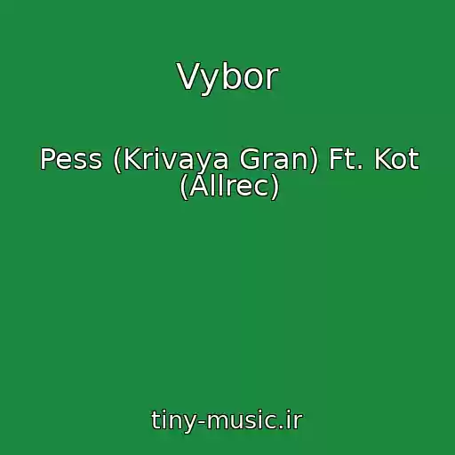 کاور آهنگ Vybor از Pess (Krivaya Gran) Ft. Kot (Allrec)
