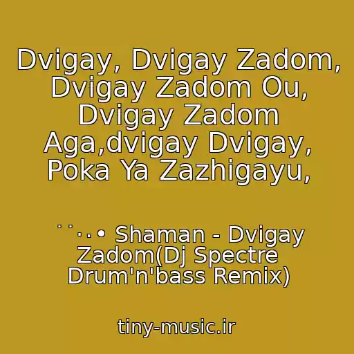کاور آهنگ Dvigay, Dvigay Zadom, Dvigay Zadom Ou, Dvigay Zadom Aga,dvigay Dvigay, Poka Ya Zazhigayu, از ˙˙·٠• Shaman - Dvigay Zadom(Dj Spectre Drum'n'bass Remix)