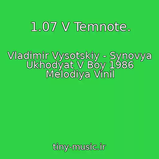 کاور آهنگ 1.07 V Temnote. از Vladimir Vysotskiy - Synovya Ukhodyat V Boy 1986 Melodiya Vinil