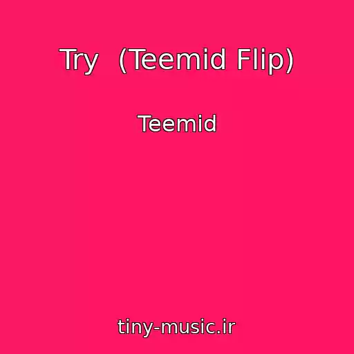 کاور آهنگ Try  (Teemid Flip) از Teemid