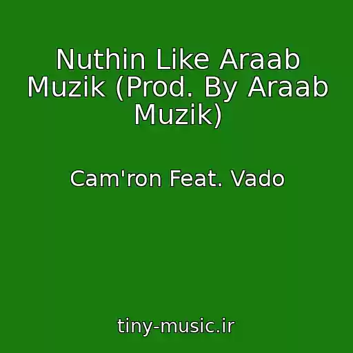 کاور آهنگ Nuthin Like Araab Muzik (Prod. By Araab Muzik) از Cam'ron Feat. Vado