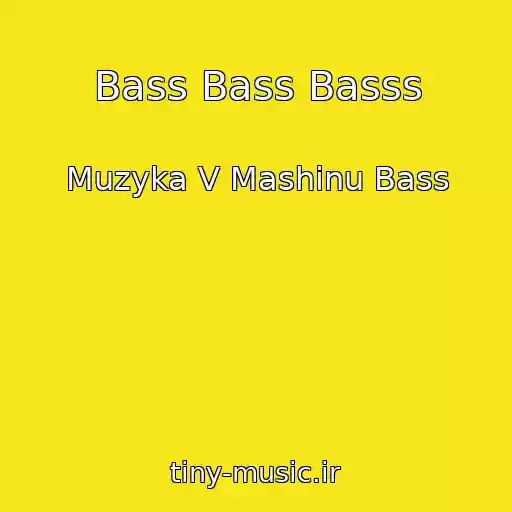 کاور آهنگ Bass Bass Basss از Muzyka V Mashinu Bass