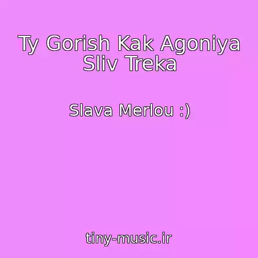 کاور آهنگ Ty Gorish Kak Agoniya Sliv Treka از Slava Merlou :)