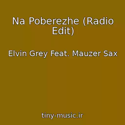 کاور آهنگ Na Poberezhe (Radio Edit) از Elvin Grey Feat. Mauzer Sax