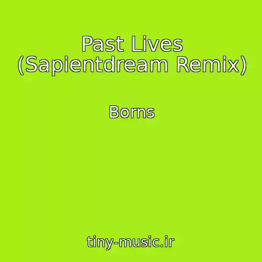 کاور آهنگ Past Lives (Sapientdream Remix) از Borns