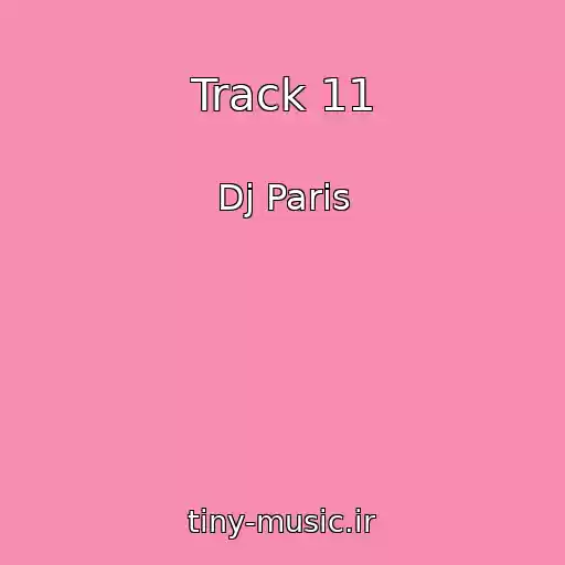 کاور آهنگ Track 11 از Dj Paris