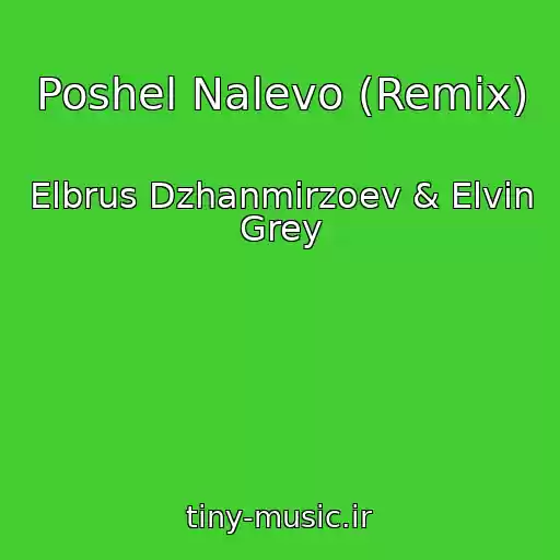 کاور آهنگ Poshel Nalevo (Remix) از Elbrus Dzhanmirzoev & Elvin Grey
