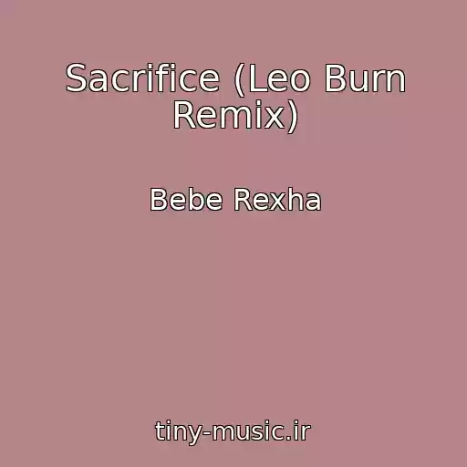 کاور آهنگ Sacrifice (Leo Burn Remix) از Bebe Rexha