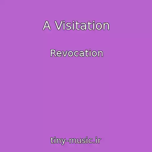 کاور آهنگ A Visitation از Revocation