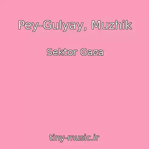کاور آهنگ Pey-Gulyay, Muzhik از Sektor Gaza