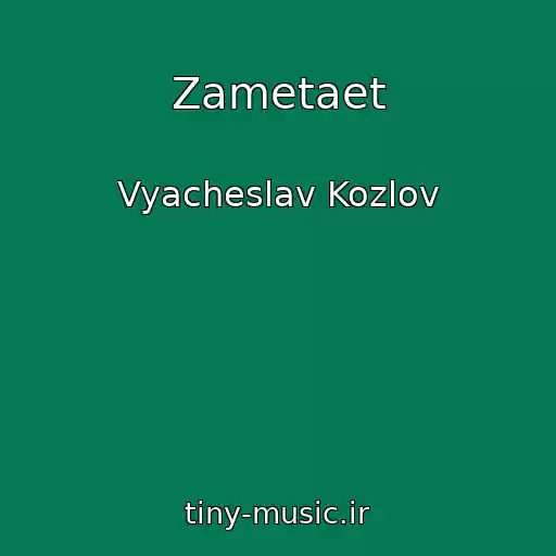 کاور آهنگ Zametaet از Vyacheslav Kozlov
