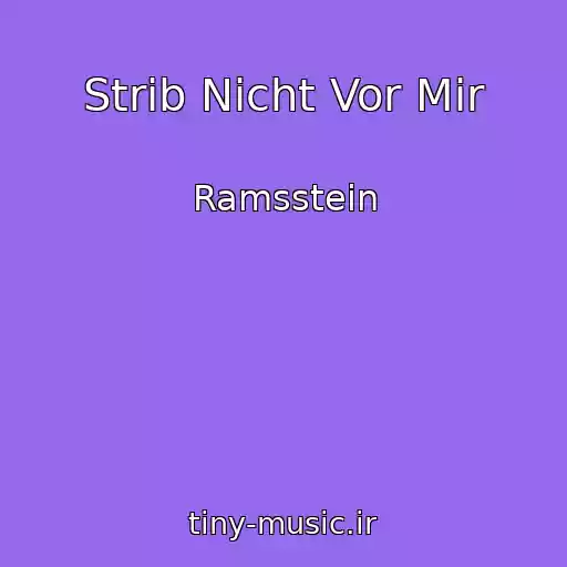 کاور آهنگ Strib Nicht Vor Mir از Ramsstein