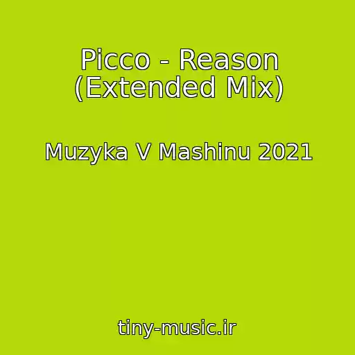 کاور آهنگ Picco - Reason (Extended Mix) از Muzyka V Mashinu 2021