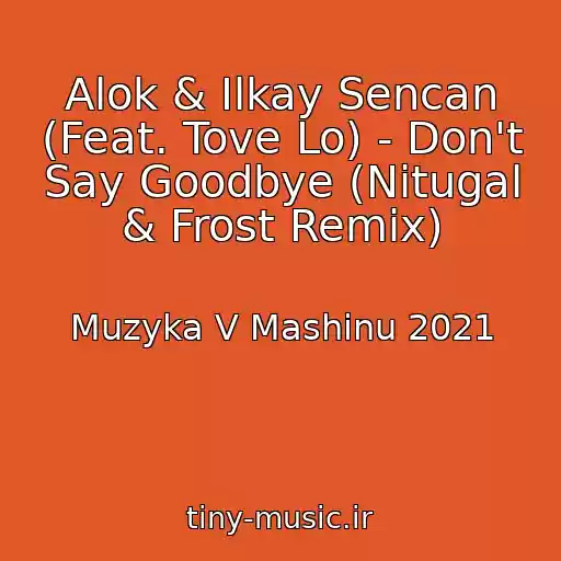 کاور آهنگ Alok & Ilkay Sencan (Feat. Tove Lo) - Don't Say Goodbye (Nitugal & Frost Remix) از Muzyka V Mashinu 2021