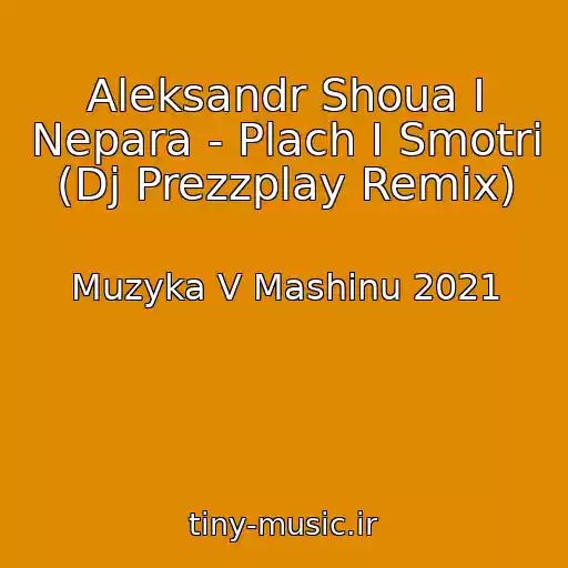 کاور آهنگ Aleksandr Shoua I Nepara - Plach I Smotri (Dj Prezzplay Remix) از Muzyka V Mashinu 2021