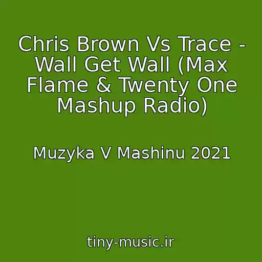کاور آهنگ Chris Brown Vs Trace - Wall Get Wall (Max Flame & Twenty One Mashup Radio) از Muzyka V Mashinu 2021