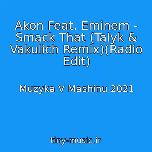 کاور آهنگ Akon Feat. Eminem - Smack That (Talyk & Vakulich Remix)(Radio Edit) از Muzyka V Mashinu 2021