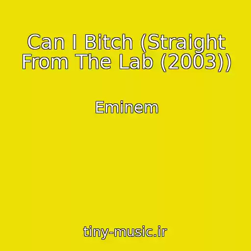 کاور آهنگ Can I Bitch (Straight From The Lab (2003)) از Eminem