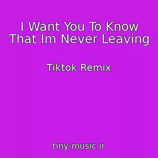 کاور آهنگ I Want You To Know That Im Never Leaving از Tiktok Remix