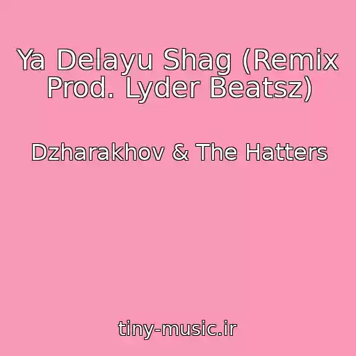 کاور آهنگ Ya Delayu Shag (Remix Prod. Lyder Beatsz) از Dzharakhov & The Hatters