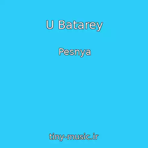 کاور آهنگ U Batarey از Pesnya
