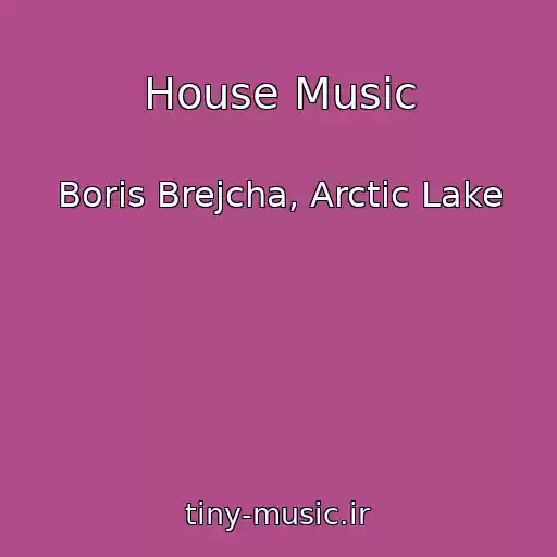 کاور آهنگ House Music از Boris Brejcha, Arctic Lake