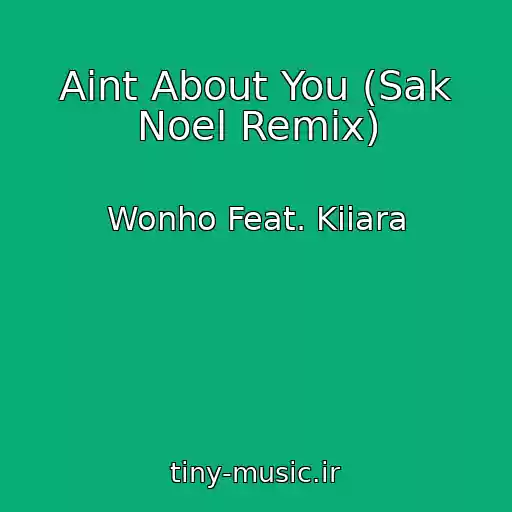 کاور آهنگ Aint About You (Sak Noel Remix) از Wonho Feat. Kiiara