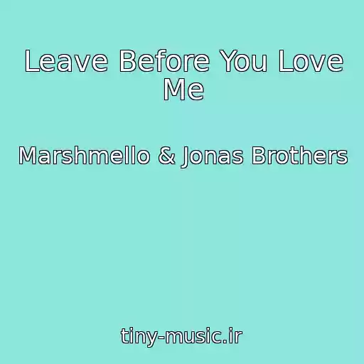 کاور آهنگ Leave Before You Love Me از Marshmello & Jonas Brothers
