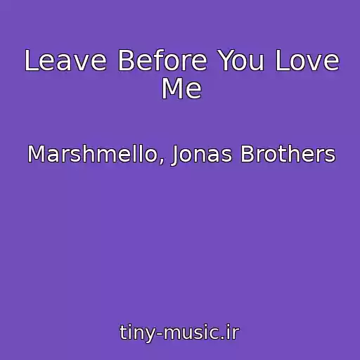 کاور آهنگ Leave Before You Love Me از Marshmello, Jonas Brothers