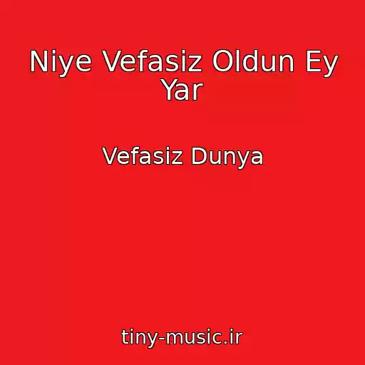 کاور آهنگ Niye Vefasiz Oldun Ey Yar از Vefasiz Dunya