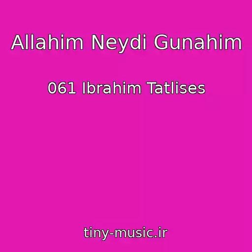 کاور آهنگ Allahim Neydi Gunahim از 061 Ibrahim Tatlises