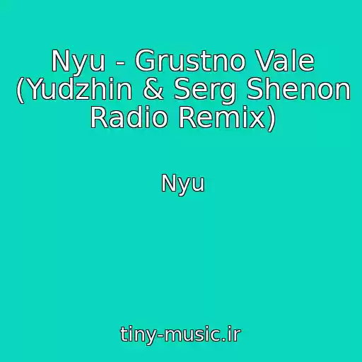 کاور آهنگ Nyu - Grustno Vale (Yudzhin & Serg Shenon Radio Remix) از Nyu