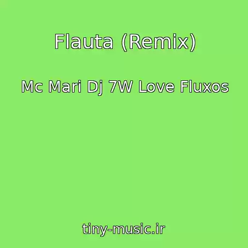 کاور آهنگ Flauta (Remix) از Mc Mari Dj 7W Love Fluxos