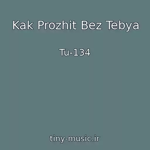 کاور آهنگ Kak Prozhit Bez Tebya از Tu-134